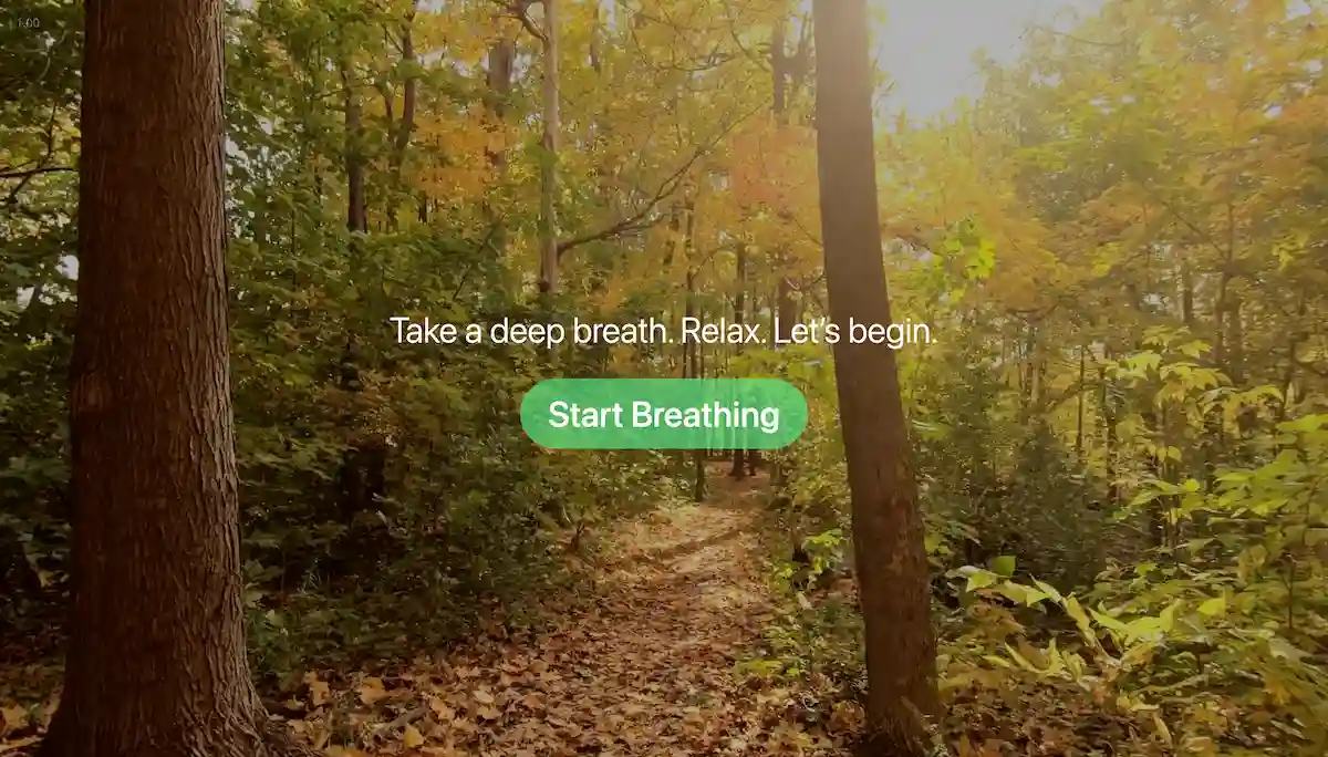 Deep Breathing Guide preview